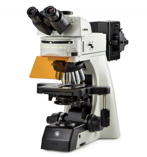 Euromex DX.1158‑PLPHi Delphi-X Observer Mikroskoplar