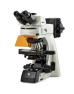 Euromex DX.1158‑PLPHi Delphi-X Observer Mikroskoplar