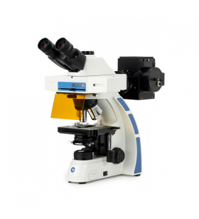 Euromex Oxion Floresan Mikroskop 