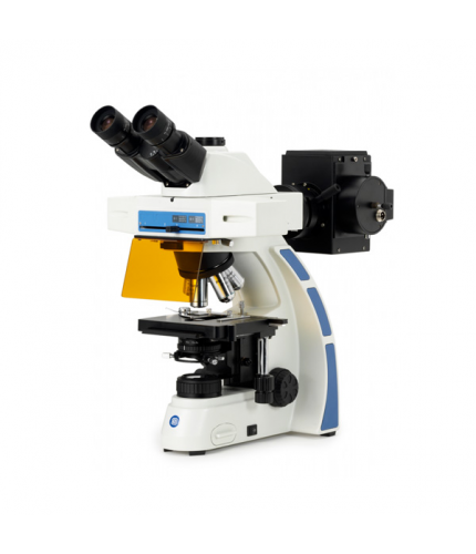 Euromex Oxion Floresan Mikroskop 