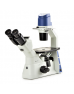 EUROMEX OX.2253‑PLPHF (*) Oxion Inverso Mikroskop