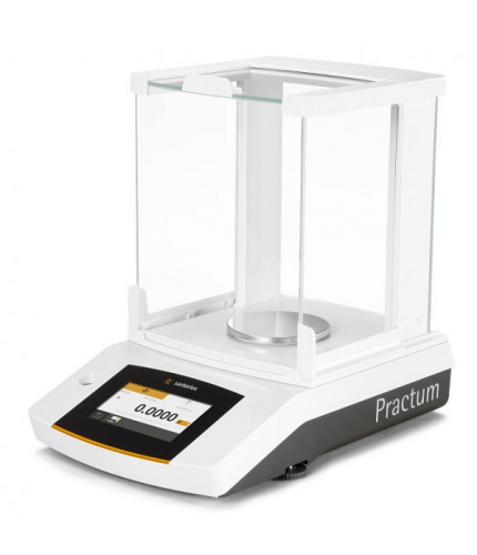 Sartorius Practum® 313 Analitik Terazi